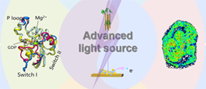 生(sheng)物(wù)大(da)分(fēn)子(zi)<br>超高(gao)時空分(fēn)辨動(dòng)力(li)學(xué)